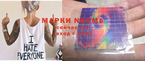 крисы Бородино