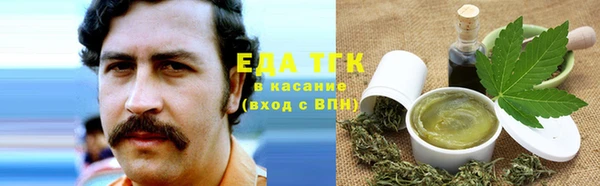 крисы Бородино
