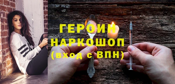крисы Бородино