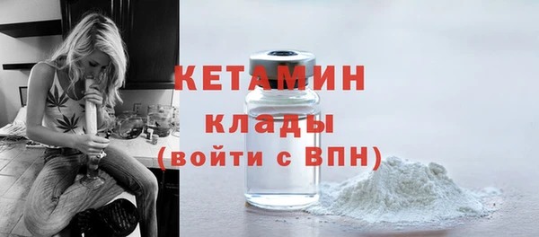 крисы Бородино