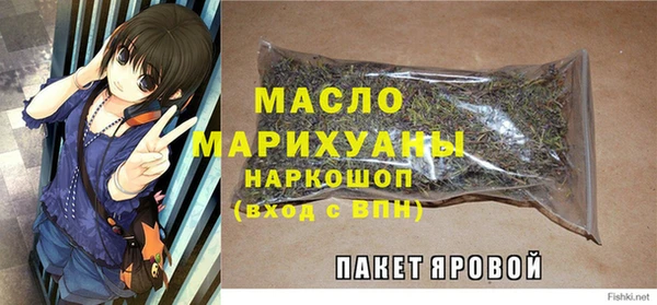 крисы Бородино