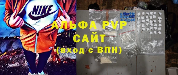 крисы Бородино
