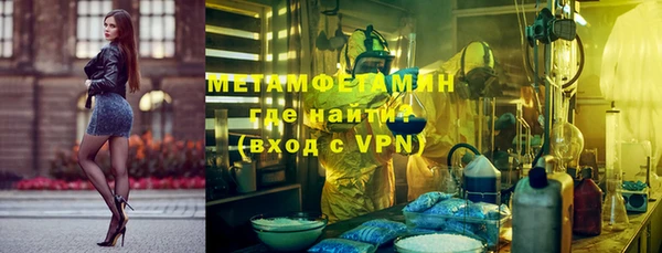 крисы Бородино