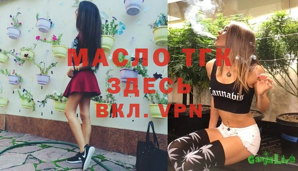 крисы Бородино