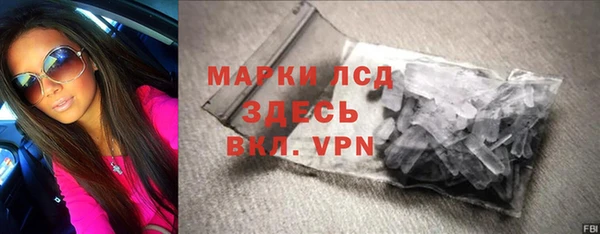 крисы Бородино