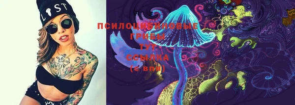 крисы Бородино